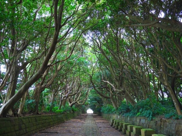 ⛩️ 사카쓰라 이소사키 신사 이미지 1